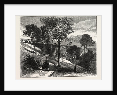 Terraces in Beaumont Park, Huddersfield, UK, 1883 by Anonymous