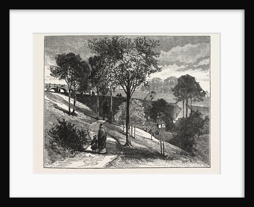Terraces in Beaumont Park, Huddersfield, UK, 1883 by Anonymous