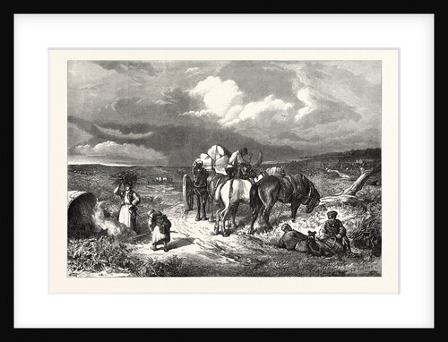 A Clearing in the New Forest, 1871 by Anonymous