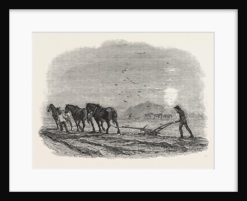 Agricultural Pictures: Ploughing, 1846 by Anonymous
