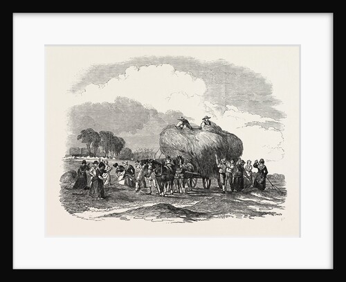 Agricultural Pictures: Hay Harvest by Anonymous