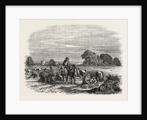 Agricultural Pictures: Wheat Harvest by Anonymous