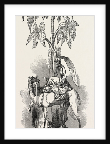 Plate Presented to the Secretary of the Lincolnshire Agricultural Society, 1847 by Anonymous
