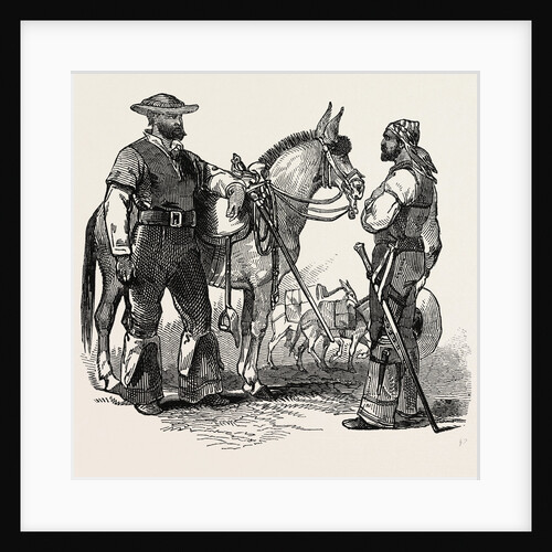 The War in Mexico: Head Muleteer and Man, 1847 by Anonymous