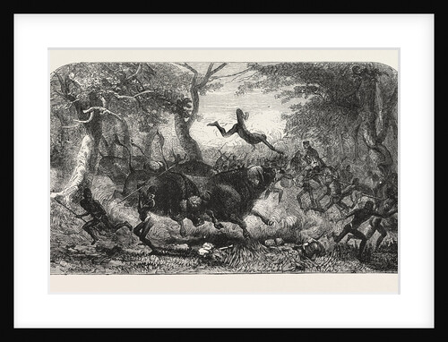 Dr Livingstone's Missionary Travels and Researchers in South Africa: The Travelling Procession Interrupted, 1857 by Anonymous