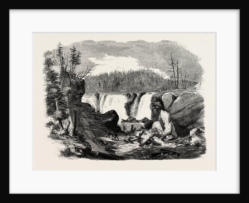 Driving Logs Down the Falls of the St. John, 1858 by Anonymous