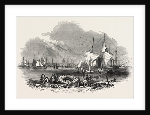 Foreign Corn Ports, New Orleans, 1847 by Anonymous