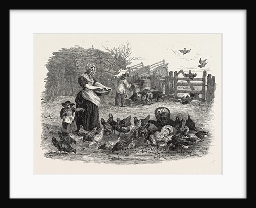 Agricultural Pictures the Poultry-Yard, 1847 by Anonymous