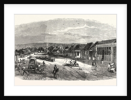 West Street, in D'Urban, 1855 by Anonymous