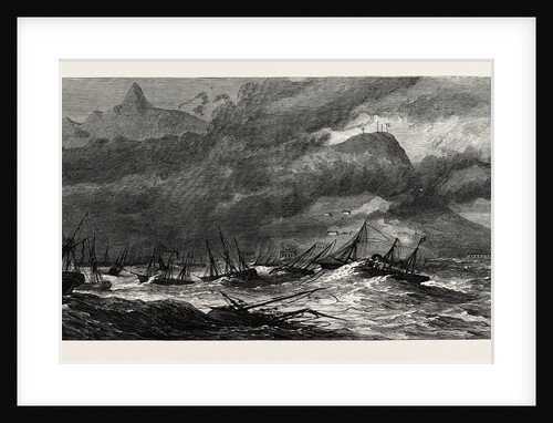 Hurricane at the Isle of Mauritius, 1874 by Anonymous