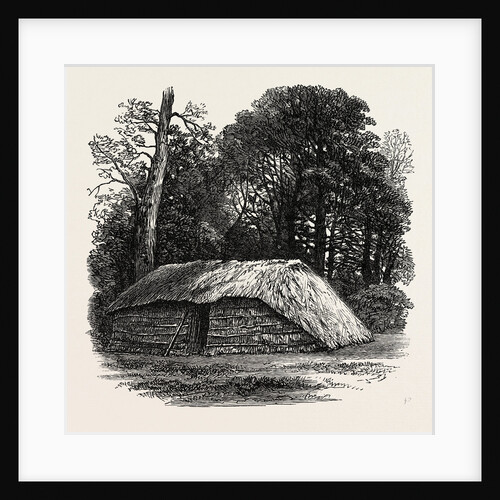 Facsimile of the Hut Built for Dr. Livingstone to Die in. 1874 by Anonymous