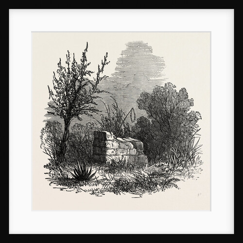 Tomb of Virginia, Mauritius, 1874 by Anonymous