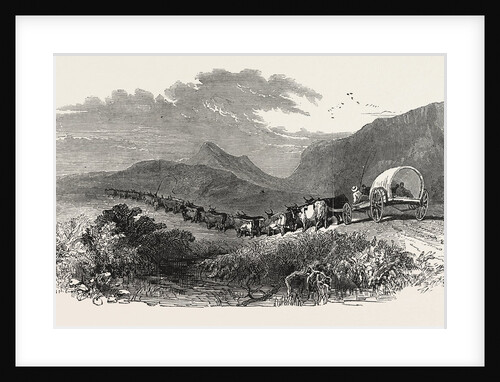 Cape Waggon, South Africa, 1850 by Anonymous