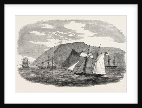 The Northernmost Chincha (Guano) Island. 1850 by Anonymous