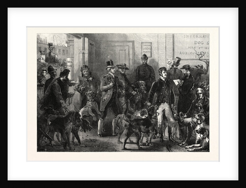 The International Dog Show at Islington: Arrival of Dogs, London, 1865 by Anonymous