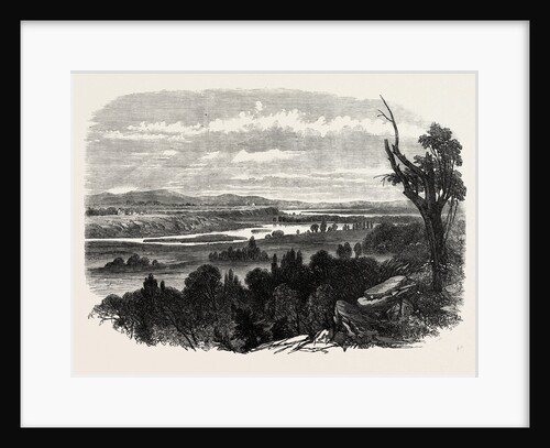 Cook's River Dam, Botany Bay, New South Wales, 1865 by Anonymous
