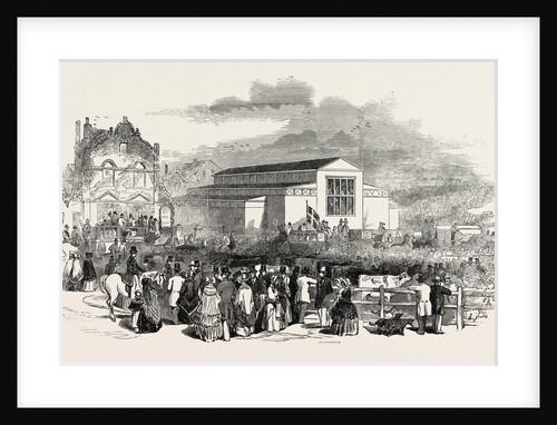 Great Meeting of the Royal Agricultural Society at Newcastle: The Great Pavilion and Cattle Show, UK, 1846 by Anonymous