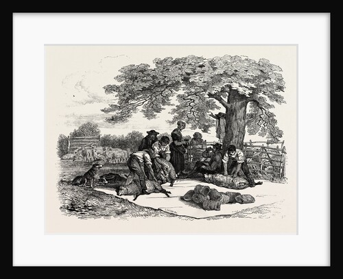 Agricultural Pictures: Sheep-Shearing, 1846 by Anonymous