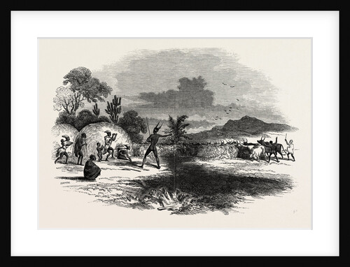Scene in Kaffirland, May 1, 1846 by Anonymous