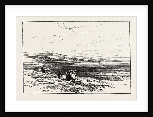 A Scotch Moor by Anonymous