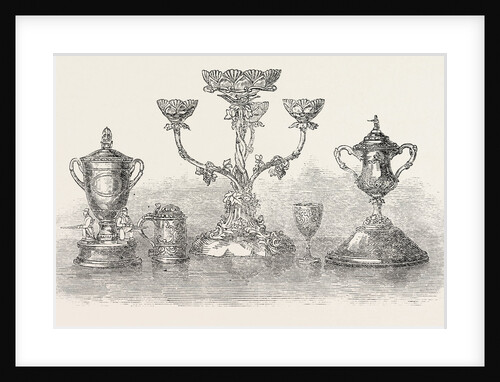 First Surrey Rifles Prizes: The Ladies' Challenge Cup by Anonymous