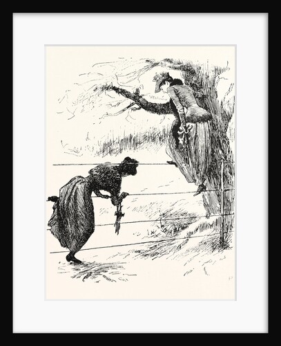 Two Methods of Speeling a Wire-Fence by Anonymous