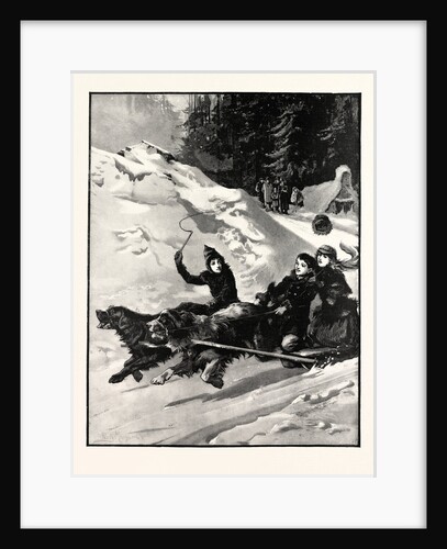 A Trotting Match in Canada Mind He Don't Break Jack by Anonymous