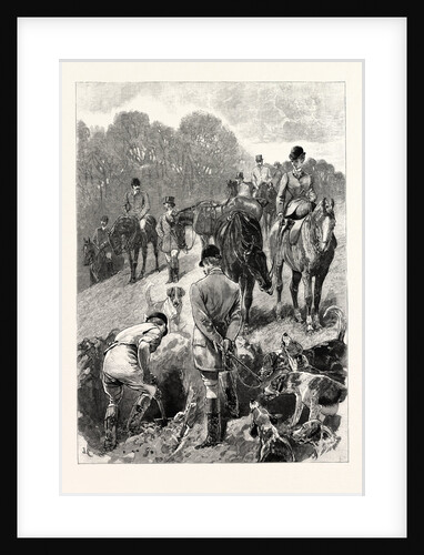 Hunting in Cardiganshire Digging Out the Fox by Anonymous