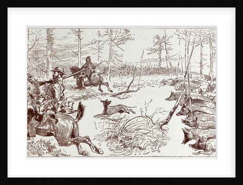 A Shooting Excursion in Turkey: Our Horses Are Seized with Panic and Stampede Madly Through the Forest by Anonymous