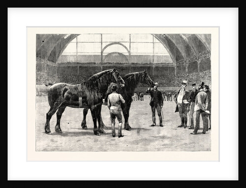 The Shire Horse Show at the Agricultural Hall: The Final Duel by Anonymous