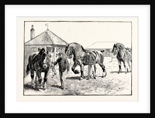 A Parade in Front of the Pavilion in Mr. Gilbey's Paddocks at Elsenham by Anonymous