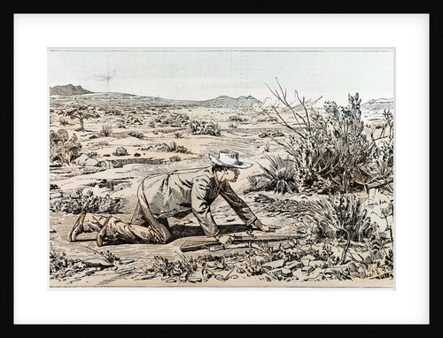 A Hunter in South Africa by Anonymous