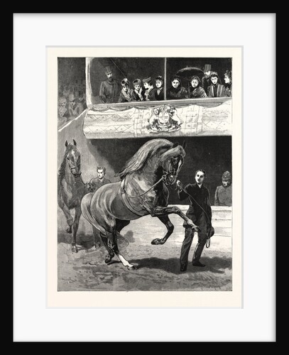 The Queen at the Islington Horse Show: The Prize Winners Parading Before the Royal Box by Anonymous