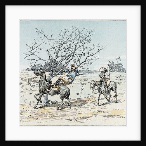 The South African Plains by Anonymous