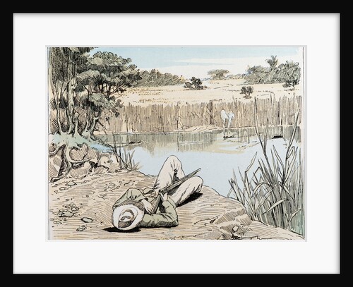 Hunting a Hippopotamus in South Africa by Anonymous