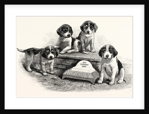 A Water Trough for Dogs to Drink from by Anonymous