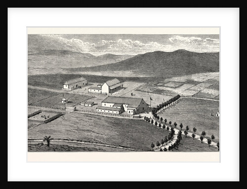 The Future of South Africa: View of Bremersdorp the Proposed Capital of Swaziland Showing the Present Government Buildings by Anonymous