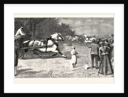 The London Cart Horse Parade on Whit-Monday: A Competitor Entering the Show Ground UK by Anonymous