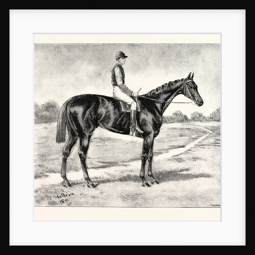 Lord Alington's Common Winner of the Two Thousand Guineas and Favourite for the Derby by Anonymous