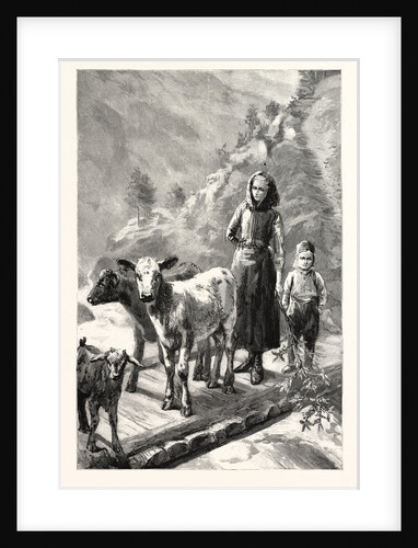 Norway Hopes of the Family by Anonymous