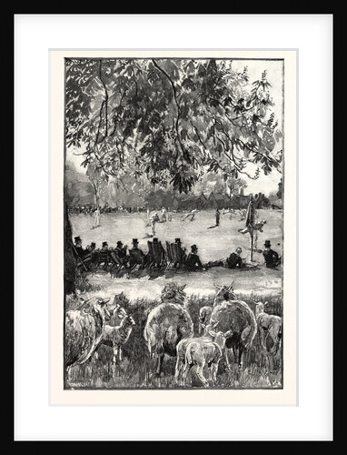 A Boy's Life at Eton: Oh! Well Hit! a Cricket Match in the Playing Fields UK by Anonymous