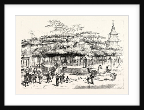 The Dai Matsu or Giant Pine Tree of Japan on the Western Shore of Lake Biwa by Anonymous