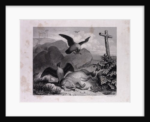 Reynard and Merknau by Anonymous