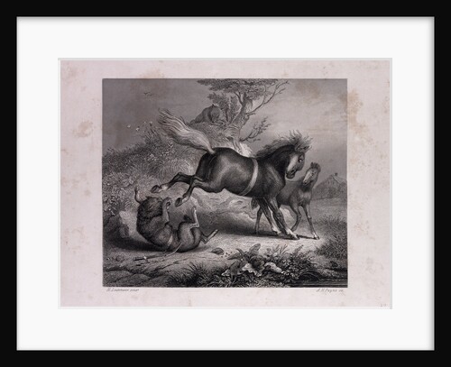 The Mare and the Wolf by Anonymous