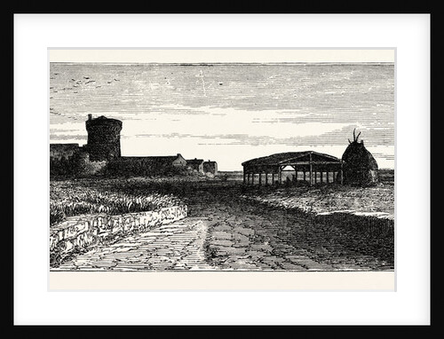 The Campagna Near Ostia Italy by Anonymous