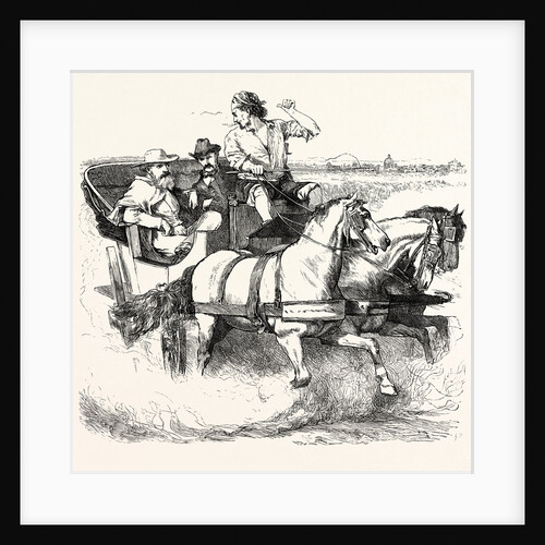On the Campagna by Anonymous