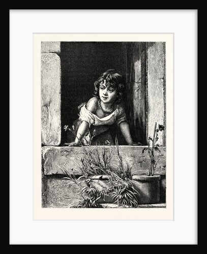 At a Window in Naples. by Anonymous