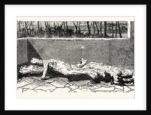 Casts of Dead Bodies of Two Women by Anonymous