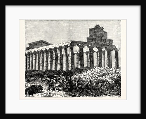 Temple of Vesta at Paestum by Anonymous
