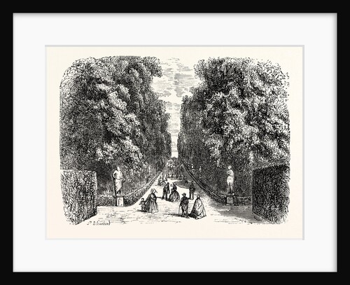 Avenue in Boboli Gardens by Anonymous